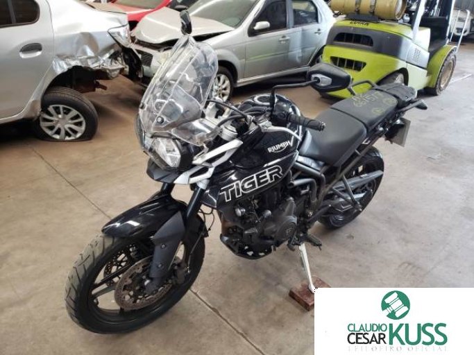TRIUMPH TIGER 19/19